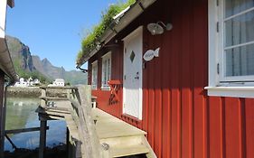Valen Cabins in Reine